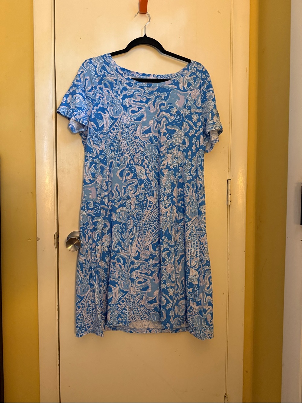 Lilly Pulitzer Blue and White Paisley-Print Short-Sleeve Dress